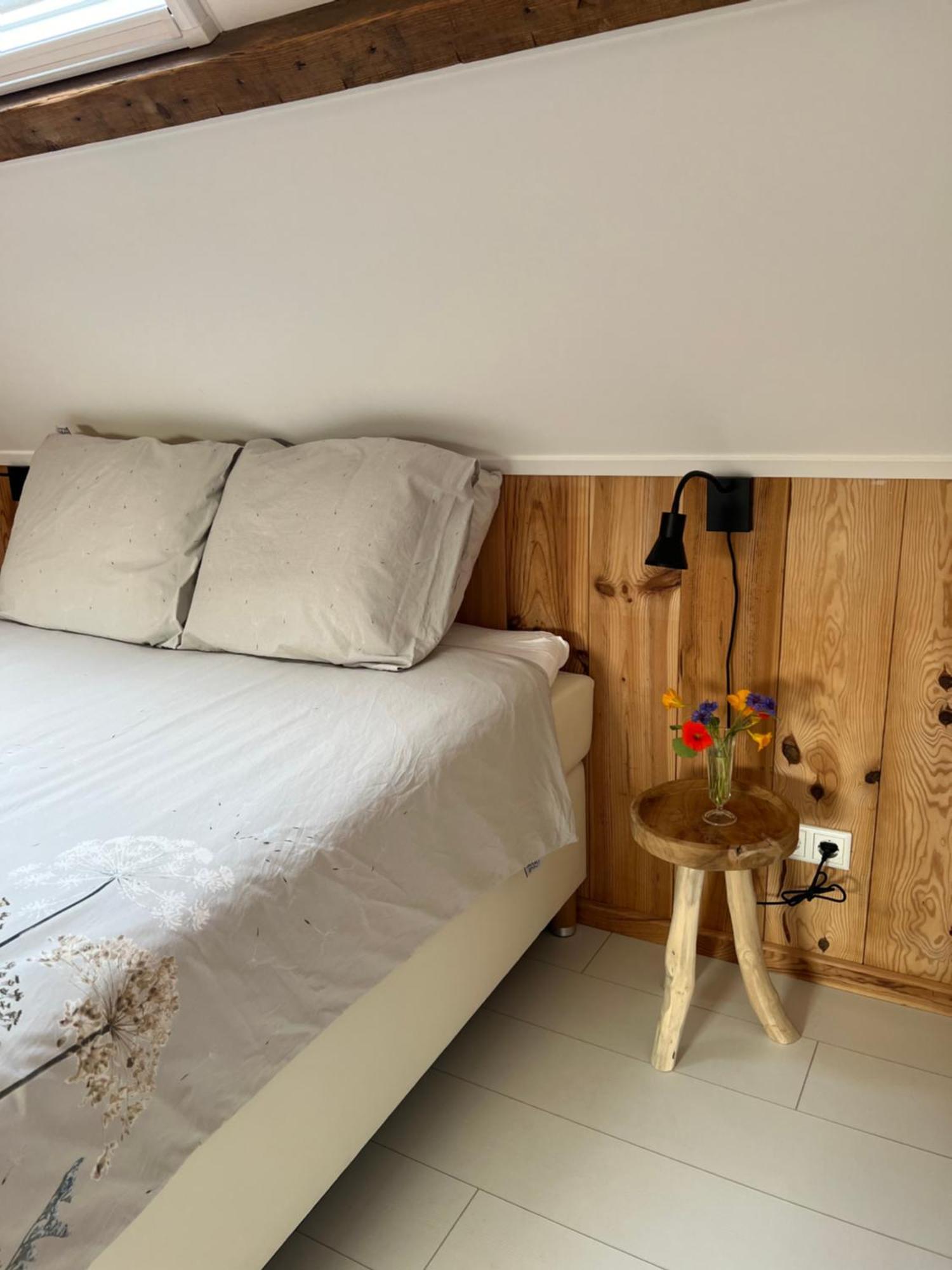 B & B 'Droom In De Polder De Suite Met Prive Sauna Arnemuiden Εξωτερικό φωτογραφία