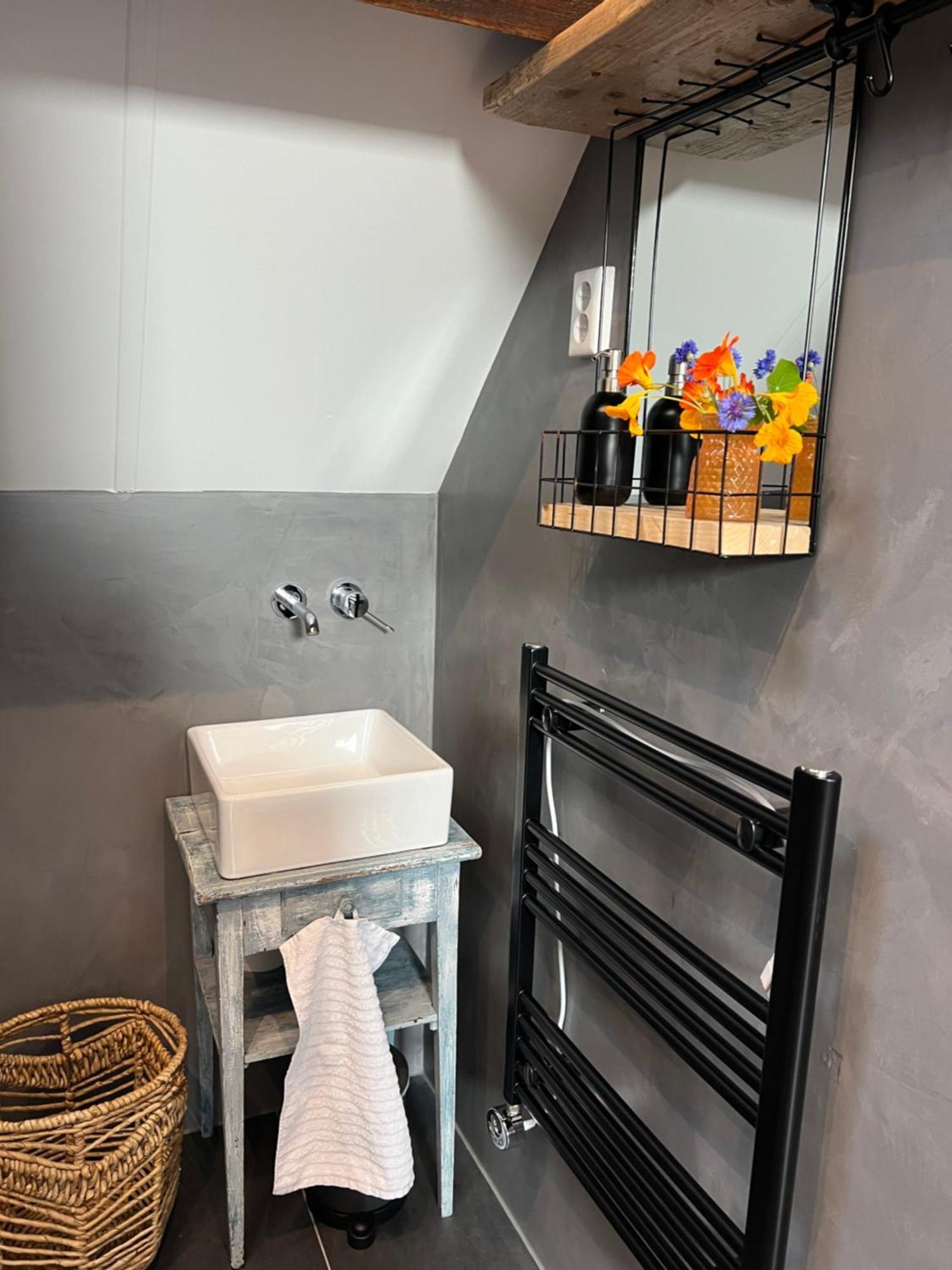 B & B 'Droom In De Polder De Suite Met Prive Sauna Arnemuiden Εξωτερικό φωτογραφία
